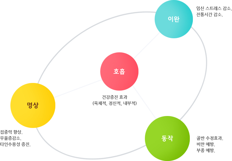 체조효과성