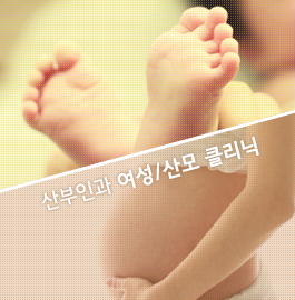 산부인과 프로그램